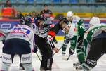 Eisbären zum Siegen verdammt