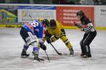Eisbären starten ins Derby