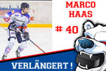 Haas wird ein Eisbär