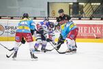Duell der Artgenossen zum Jahresauftakt