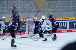Eisbären vor Auftakt im Icehouse